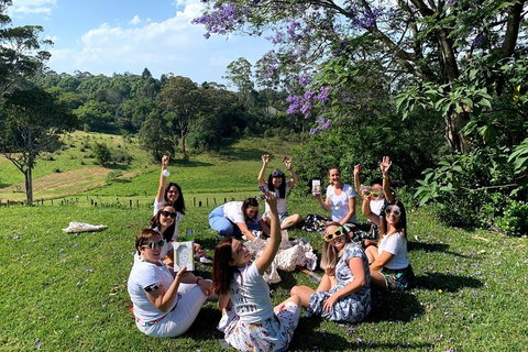 Mt Tamborine - Hinterland Wonders Self Guided - Accommodation Main Beach 5