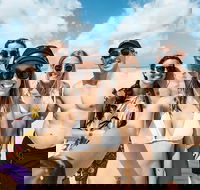 Whitsunday Islands Sailing Adventure - Accommodation Main Beach