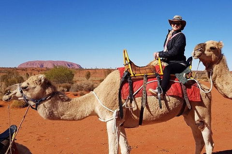 Uluru Small-Group Tour By Camel At Sunrise Or Sunset - Accommodation Main Beach 0
