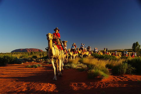 Uluru Small-Group Tour By Camel At Sunrise Or Sunset - Accommodation Main Beach 1