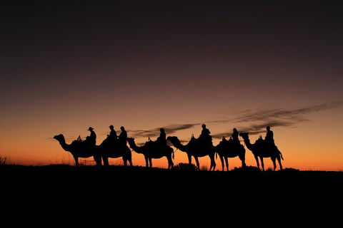 Uluru Small-Group Tour By Camel At Sunrise Or Sunset - Accommodation Main Beach 4