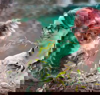 Small-Group Phillip Island Penguin Parade Day Tour from Melbourne - Accommodation Main Beach