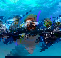 Great Barrier Reef Diving and Snorkeling Cruise from Cairns