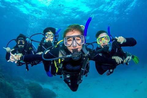 Great Barrier Reef Diving And Snorkeling Cruise From Cairns - Accommodation Main Beach 0