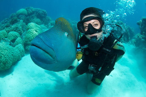 Great Barrier Reef Diving And Snorkeling Cruise From Cairns - Accommodation Main Beach 2