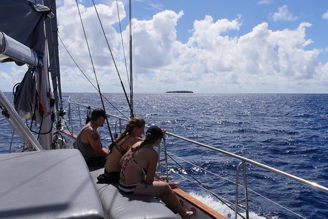 Ocean Free Green Island & Great Barrier Reef Snorkel Cruise, Cairns 25 Guests - Accommodation Main Beach 4