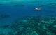Ocean Free Green Island & Great Barrier Reef Snorkel Cruise, Cairns 25 Guests - thumb 5
