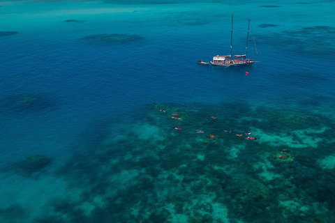 Ocean Free Green Island & Great Barrier Reef Snorkel Cruise, Cairns 25 Guests - Accommodation Main Beach 5