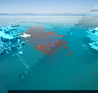 Ocean Freedom Great Barrier Reef Personal Luxury Snorkel  Dive Cruise Cairns