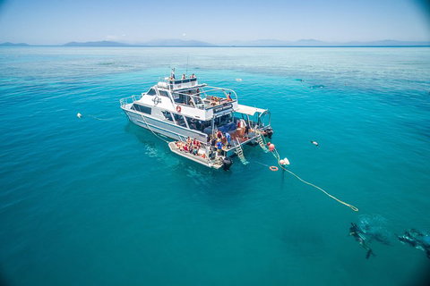 Ocean Freedom Great Barrier Reef Personal Luxury Snorkel & Dive Cruise, Cairns - Accommodation Main Beach 0