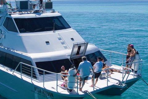 Ocean Freedom Great Barrier Reef Personal Luxury Snorkel & Dive Cruise, Cairns - Accommodation Main Beach 1