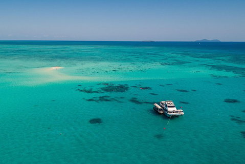 Ocean Freedom Great Barrier Reef Personal Luxury Snorkel & Dive Cruise, Cairns - Accommodation Main Beach 2
