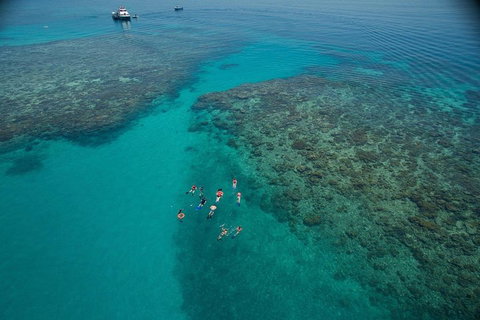 Ocean Freedom Great Barrier Reef Personal Luxury Snorkel & Dive Cruise, Cairns - Accommodation Main Beach 3