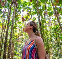 5 Day Australia Retreat Queensland Daintree - Accommodation Main Beach