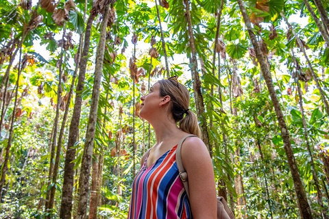 5 Day Australia Retreat: Queensland Daintree - Accommodation Main Beach 0