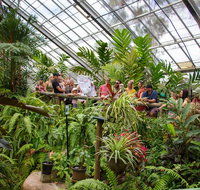 Australian Butterfly Sanctuary - Accommodation Main Beach