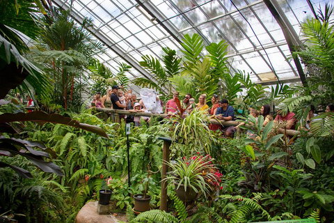 Australian Butterfly Sanctuary - Accommodation Main Beach 0