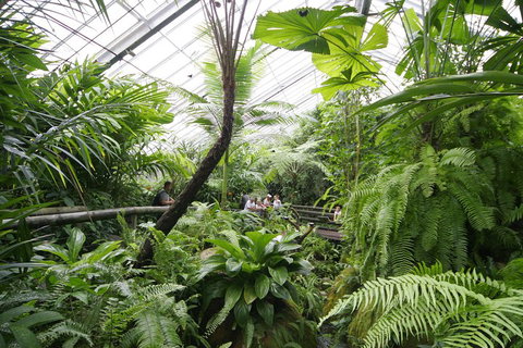 Australian Butterfly Sanctuary - Accommodation Main Beach 3