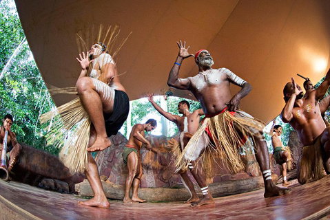 Kuranda Highlights Including Rainforestation Aboriginal Culture And Wildlife - Accommodation Main Beach 1