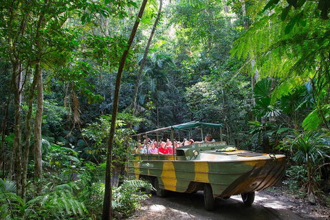 Kuranda Highlights Including Rainforestation Aboriginal Culture And Wildlife - Accommodation Main Beach 2