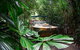 Kuranda Rainforestation & Kuranda Scenic Rail - thumb 0