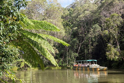 Best Of Kuranda Including Skyrail, Kuranda Scenic Railway And Rainforestation - Accommodation Main Beach 5