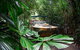 Kuranda Rainforestation Nature Park Ticket (BNP) - thumb 2