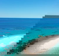 Ocean Safari Great Barrier Reef Experience in Cape Tribulation - Accommodation Main Beach