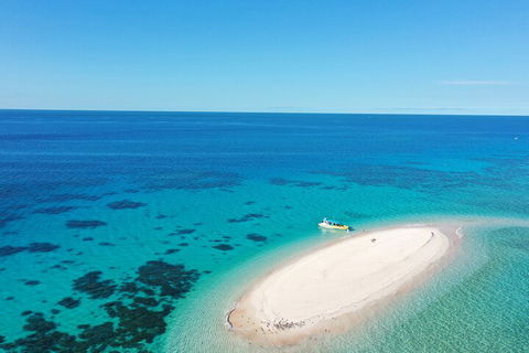 Ocean Safari Great Barrier Reef Experience In Cape Tribulation - Accommodation Main Beach 0