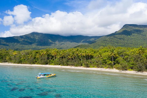 Ocean Safari Great Barrier Reef Experience In Cape Tribulation - Accommodation Main Beach 2