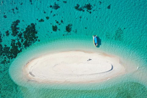 Ocean Safari Great Barrier Reef Experience In Cape Tribulation - Accommodation Main Beach 3