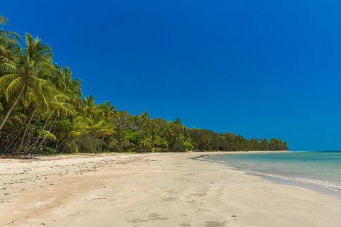 Ocean Safari Great Barrier Reef Experience In Cape Tribulation - Accommodation Main Beach 4