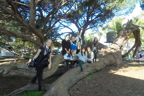 1/2 Day Swan Valley Wine Cheese & Chocolate Tour Inc Afternoon Cruise To Perth - Accommodation Main Beach 0