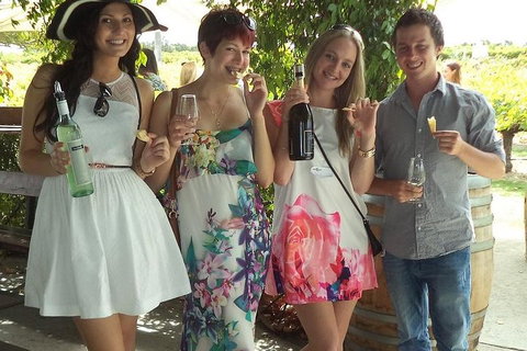 1/2 Day Swan Valley Wine Cheese & Chocolate Tour Inc Afternoon Cruise To Perth - Accommodation Main Beach 4