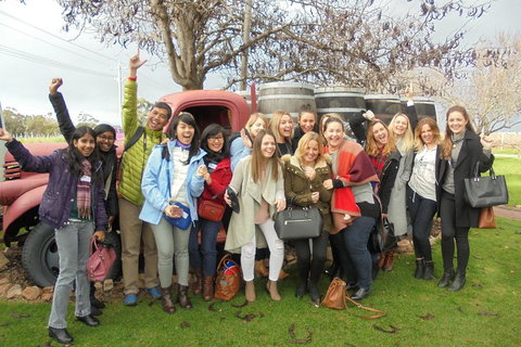 1/2 Day Swan Valley Wine Cheese & Chocolate Tour Inc Afternoon Cruise To Perth - Accommodation Main Beach 5