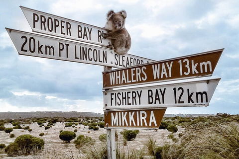 One Day Port Lincoln Tour - Tasting Eyre - Accommodation Main Beach 2