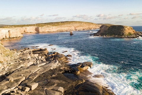 One Day Port Lincoln Tour - Tasting Eyre - Accommodation Main Beach 3