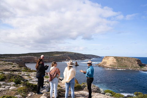One Day Port Lincoln Tour - Tasting Eyre - Accommodation Main Beach 4