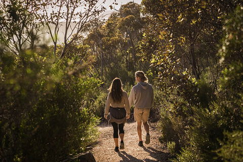 One Day Port Lincoln Tour - Tasting Eyre - Accommodation Main Beach 5
