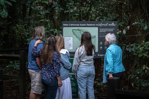 Sunshine Coast Hinterland And Noosa Day Trip From Brisbane Including Eumundi Markets And Ginger Factory - Accommodation Main Beach 0