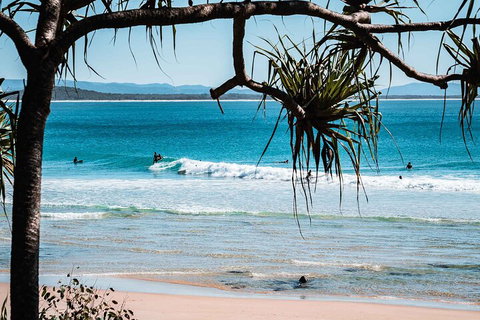 Sunshine Coast Hinterland And Noosa Day Trip From Brisbane Including Eumundi Markets And Ginger Factory - Accommodation Main Beach 5