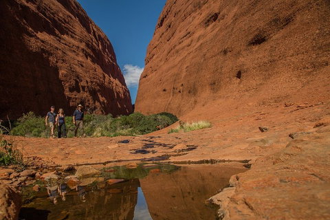 4 Day/3 Night Perentie Dreaming Safari - Accommodation Main Beach 3