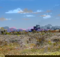 Overnight Uluru Ayers Rock Small-Group Camping Tour - Accommodation Main Beach