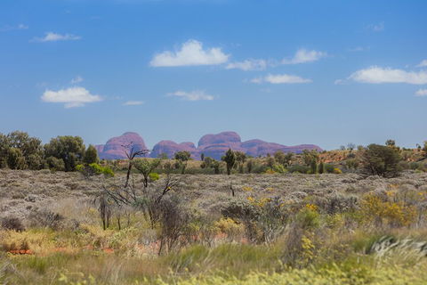 Overnight Uluru (Ayers Rock) Small-Group Camping Tour - Accommodation Main Beach 0