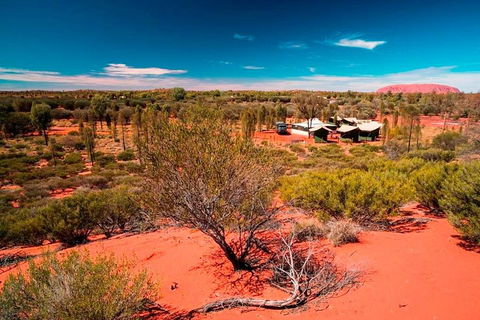 Overnight Uluru (Ayers Rock) Small-Group Camping Tour - Accommodation Main Beach 2
