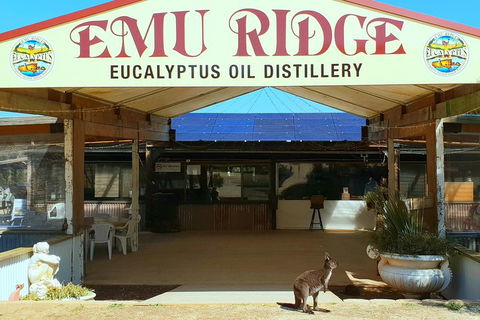 2 Day Ultimate Kangaroo Island With Return Ferry - Accommodation Main Beach 3