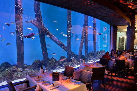 Cairns Aquarium And Small Group City Sightseeing Tour - Accommodation Main Beach 4