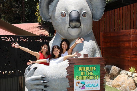Kuranda Koala Gardens And Birdworld Admission Tickets - Accommodation Main Beach 3