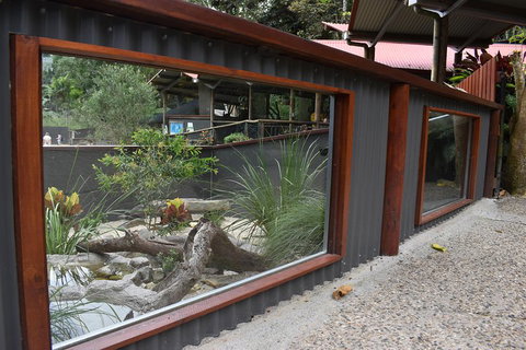 Kuranda Koala Gardens And Birdworld Admission Tickets - Accommodation Main Beach 4