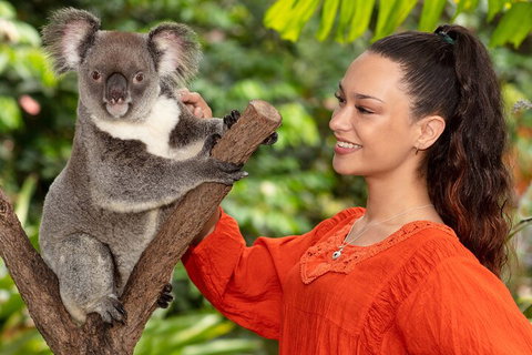 Kuranda Wildlife Experience Three Attraction Pass - Accommodation Main Beach 4
